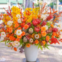 BÌNH HOA 08/03 MFVA75