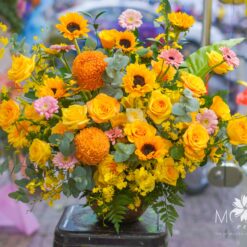 BÌNH HOA 08/03 MFVA82