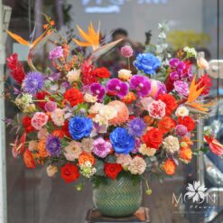 BÌNH HOA 08/03 MFVA79