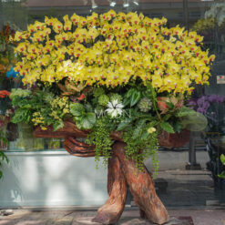 LŨA LAN PHƯỚC LỘC  LLHD041