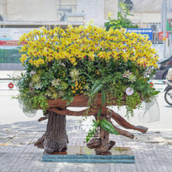 LŨA LAN HƯNG THỊNH LLHD038