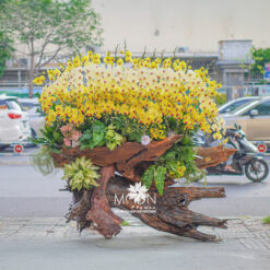 LŨA LAN ĐẮC LỘC LLHD039