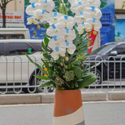 CHẬU LAN HỒ ĐIỆP 3 CÀNH TRẮNG NHUỘM XANH – MFOR213