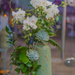 CHẬU LAN HỒ ĐIỆP MINI TRANG TRÍ TIỂU CẢNH – MFOR223