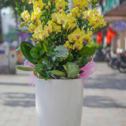 CHẬU LAN HỒ ĐIỆP ĐẠI 9 CÀNH – MFOR337