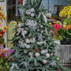 CÂY THÔNG NOEL N5
