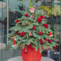 CÂY THÔNG NOEL N16