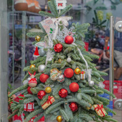 CÂY THÔNG NOEL N14