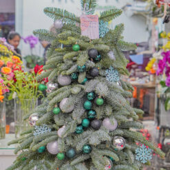 CÂY THÔNG NOEL N15