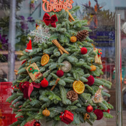 CÂY THÔNG NOEL N4