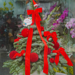 CÂY THÔNG NOEL N3