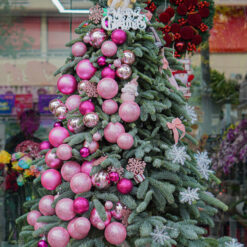 CÂY THÔNG NOEL N12