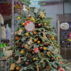 CÂY THÔNG NOEL N10