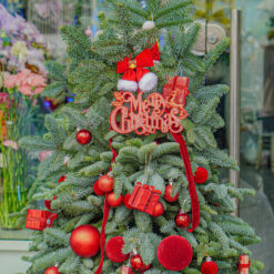 CÂY THÔNG NOEL N8
