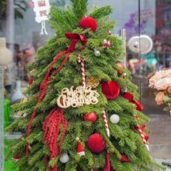 CÂY THÔNG NOEL N35