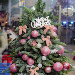 CÂY THÔNG NOEL N28
