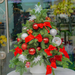 CÂY THÔNG NOEL N24