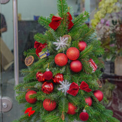 CÂY THÔNG NOEL N26