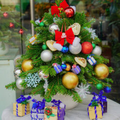 CÂY THÔNG NOEL N29