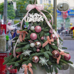 CÂY THÔNG NOEL N22