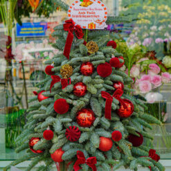 CÂY THÔNG NOEL N25