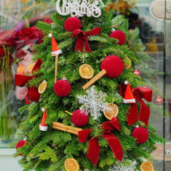CÂY THÔNG NOEL N30