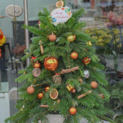 CÂY THÔNG NOEL N34