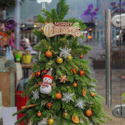 CÂY THÔNG NOEL N31